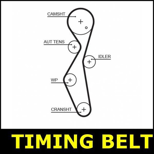 Timing belt cam fits - timing, peugeot