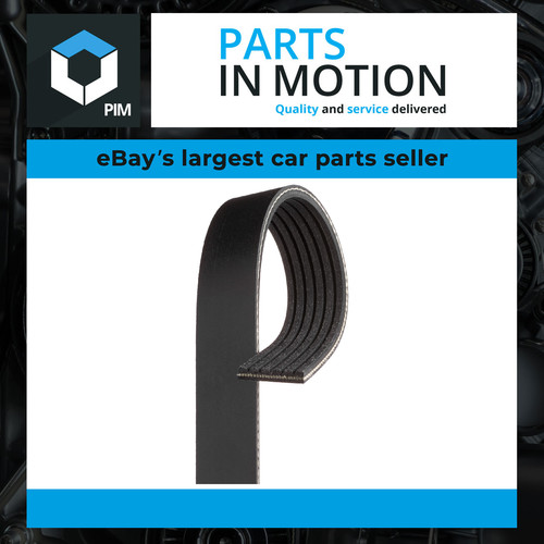 Rib multi drive belt - 6,