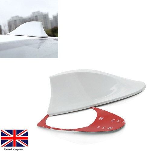 Car white shark - shark, fin-roof
