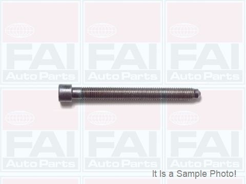 Fai b1446 cylinder head - cylinder,